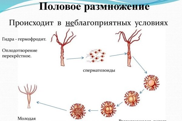 Картинка кракен маркетплейс