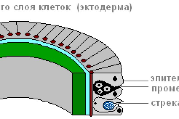 Кракен дарк оригинал ссылка