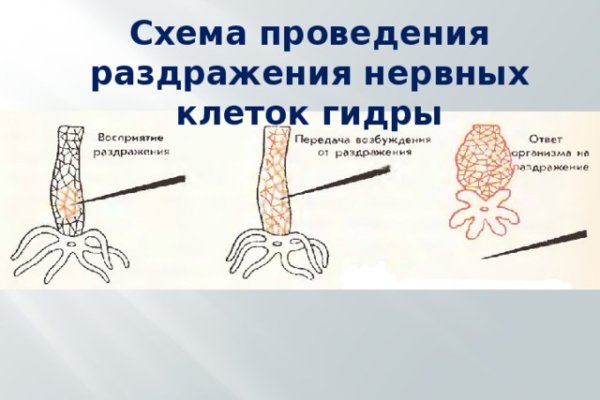 Ссылки мега кракен